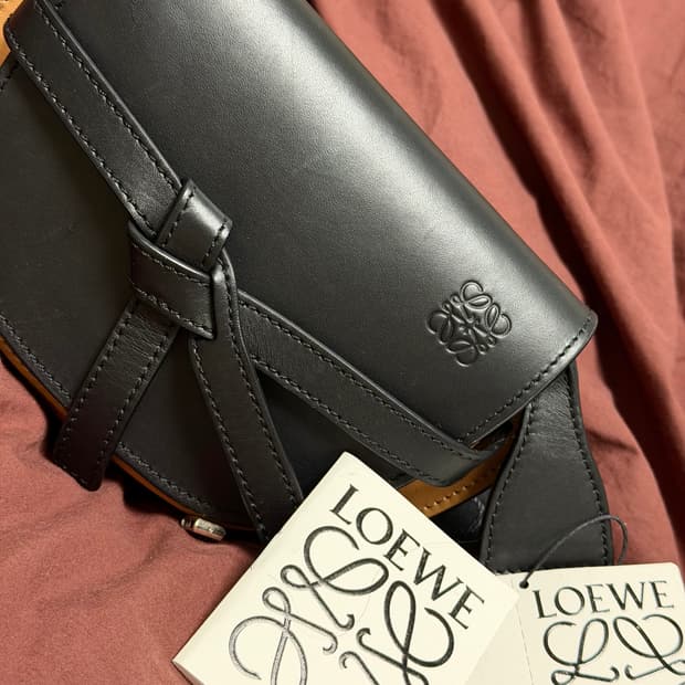 로에베 미니 게이 트 듀얼 숄더 크로스백