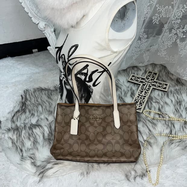 Coach 브라운 크로스백