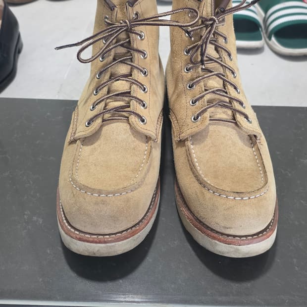 9D 사이즈 레드윙 8833 판매합니다
