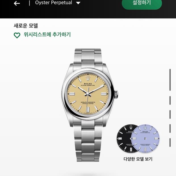 롤렉스 오이스터 퍼페츄얼 36 126000 베이지 바