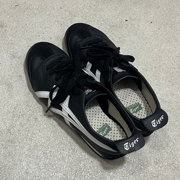 오니츠카타이거