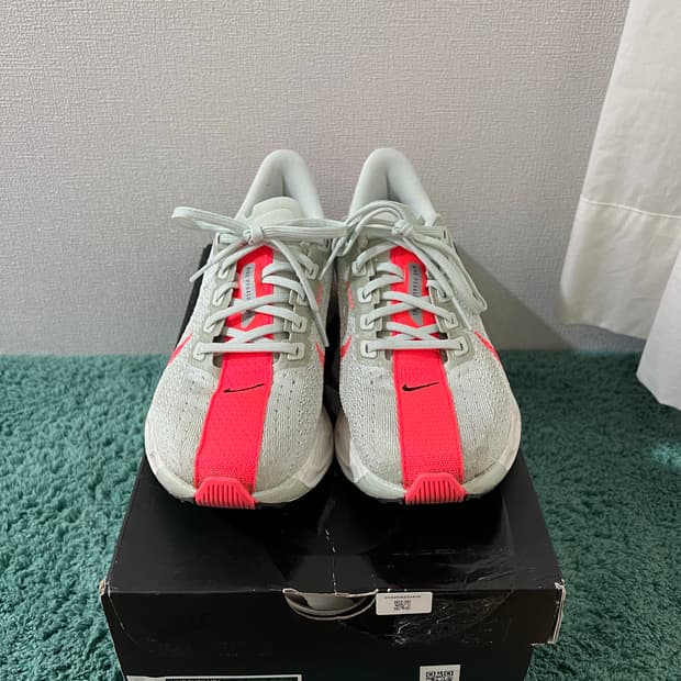 나이키 페가수스 런닝화