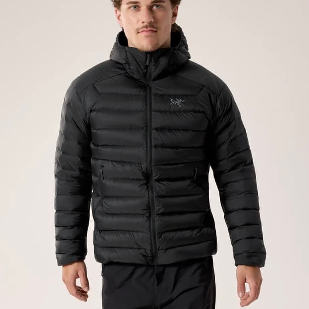 [L] 아크테릭스 세륨 후디 블랙