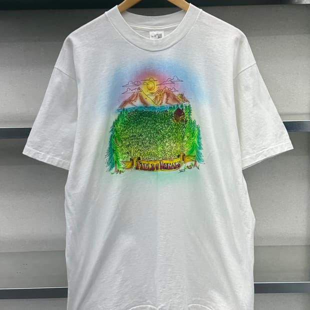 (XL)90'S FRUIT OF THE LOOM 반팔-M2367