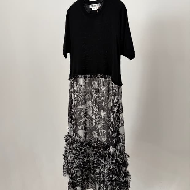 Frill Sheer Skirt Docking Dress