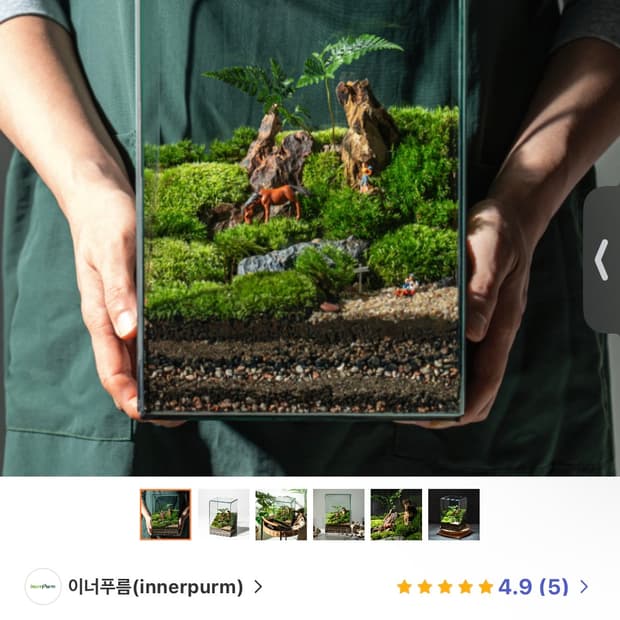 이너푸름 테라리움 비바리움 대형어항 및 조명