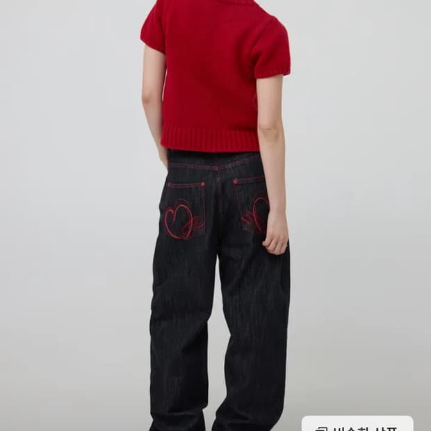 디벨롭 하트 와이드 진