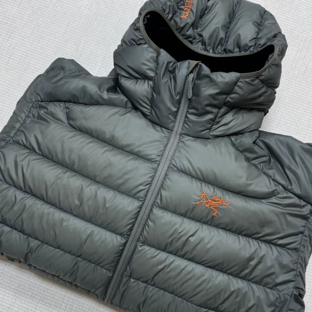 아크테릭스 세륨 후디 포리지 베르베