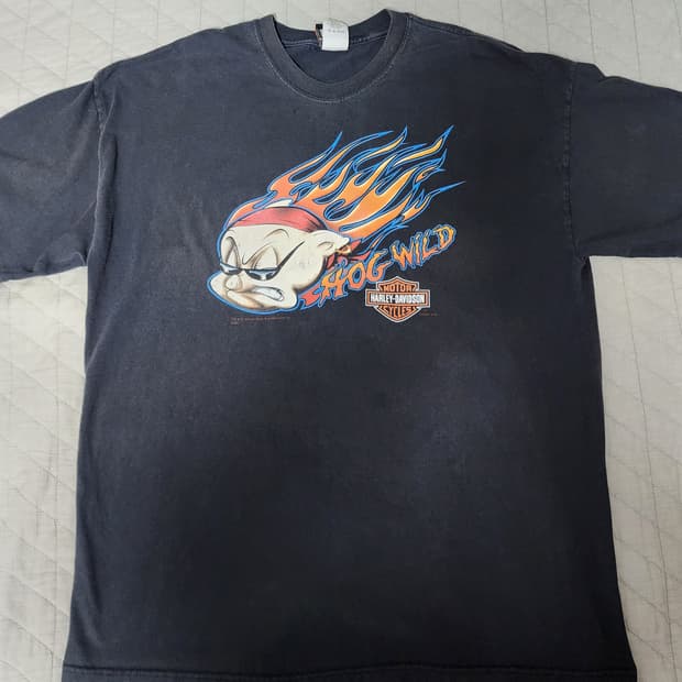 [2XL] 00s 할리데이비슨 루나툰즈 호그 빈티지 티셔츠