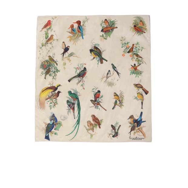 lcbx bird scarf