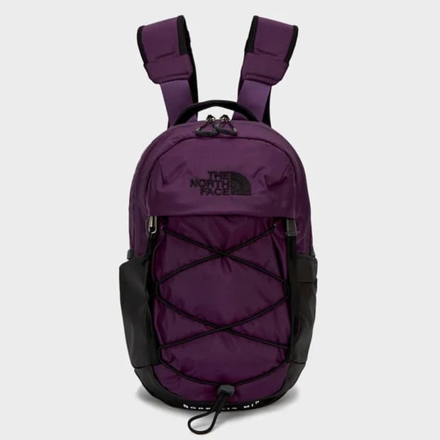 The North Face 보레알리스 미니 백팩