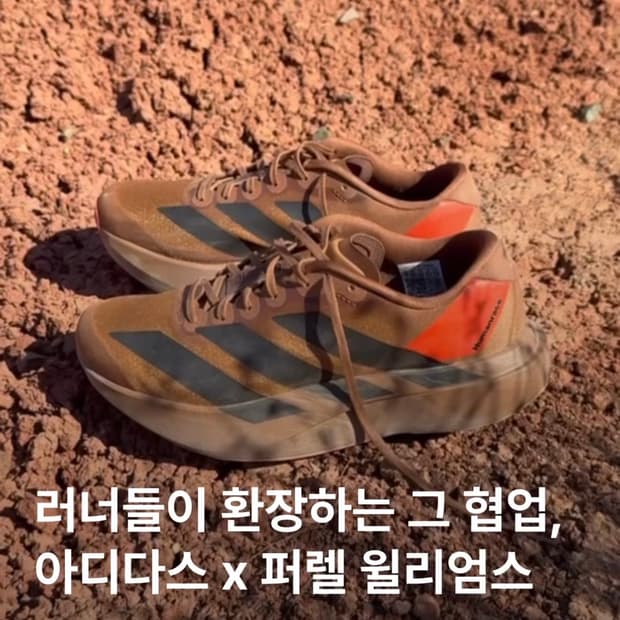 아디다스 퍼렐 윌리엄스 아디제로 EVO SL 260