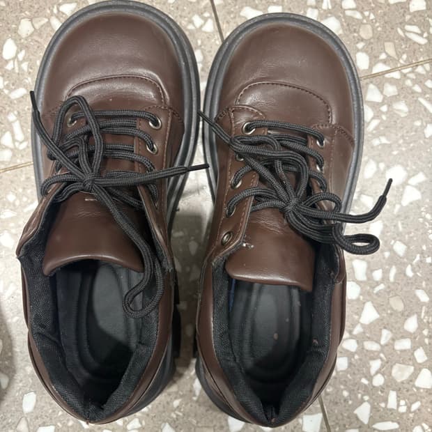 초코 브라운 워커 250