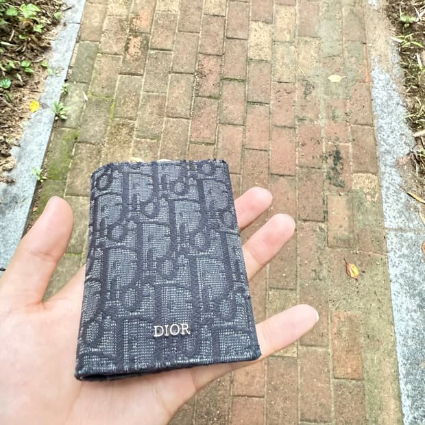 디올 오블리크 오거나이저