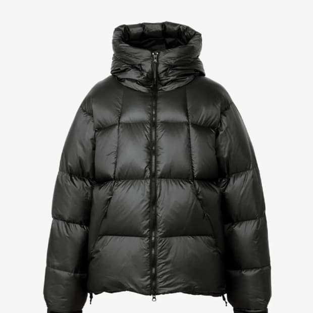 골드윈 퍼텍스 퀸텀 다운 파카 