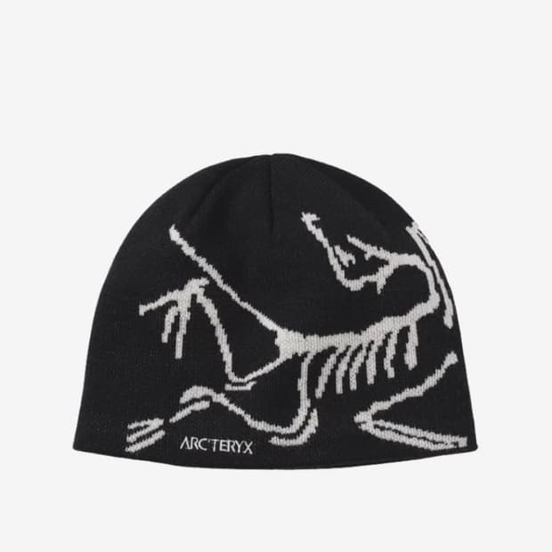 아크테릭스 비니 