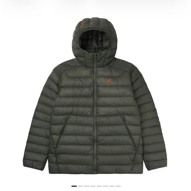 아크테릭스 세륨 후디 포리지 베르베 M