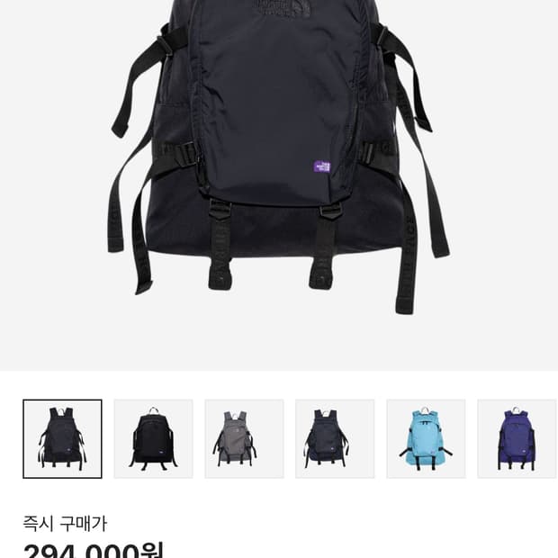 노스페이스 퍼플라벨 데이팩 백팩 블랙