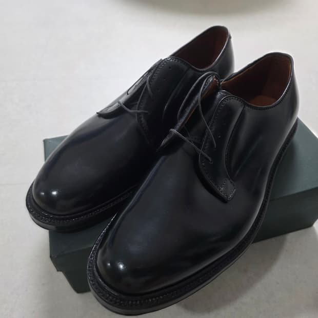 [새상품] 알든 9901 US 11.5 E 295 팝니다