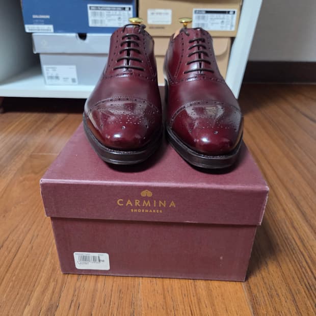 Carmina 버건디 남성 윙팁 구두