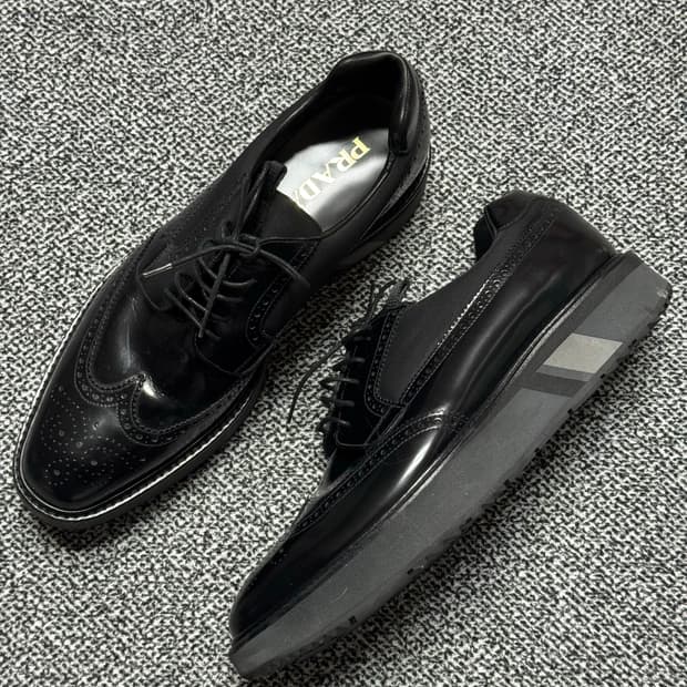 프라다 윙팁더비