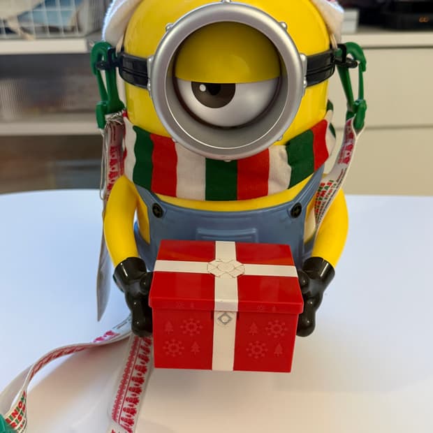 유니버셜 스튜디오 미니언즈 팝콘통