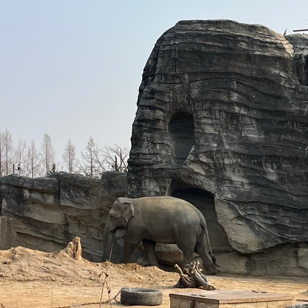 나아나나 커브 라인 아우터