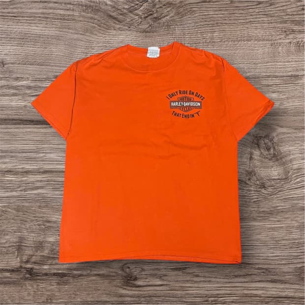 Harley Davidson DARLINGTON T-shirt