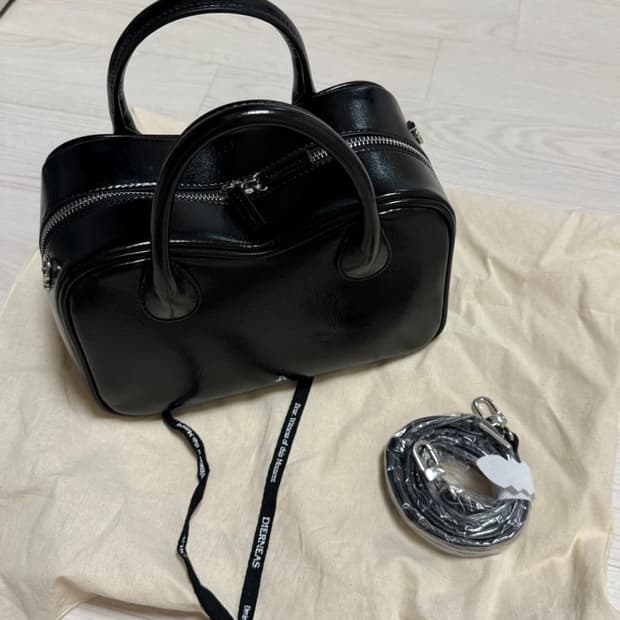 디어니스 패네백 가방