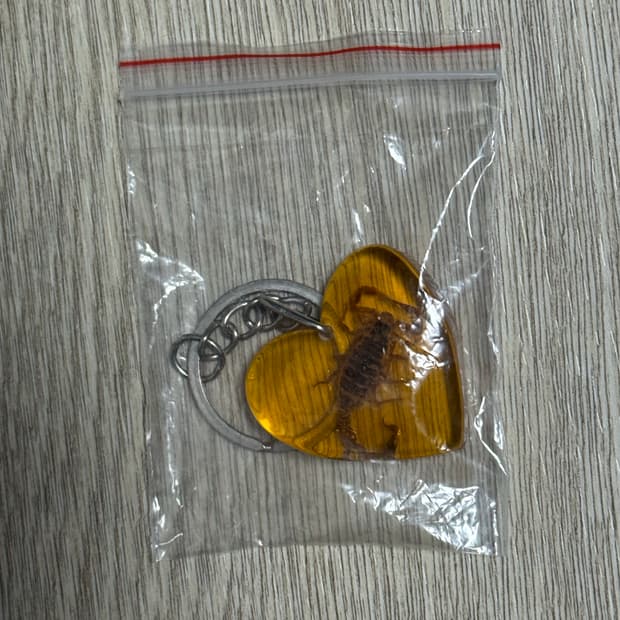 3. 실제 전갈 키홀더 키체인 호박 하트 열쇠고리
