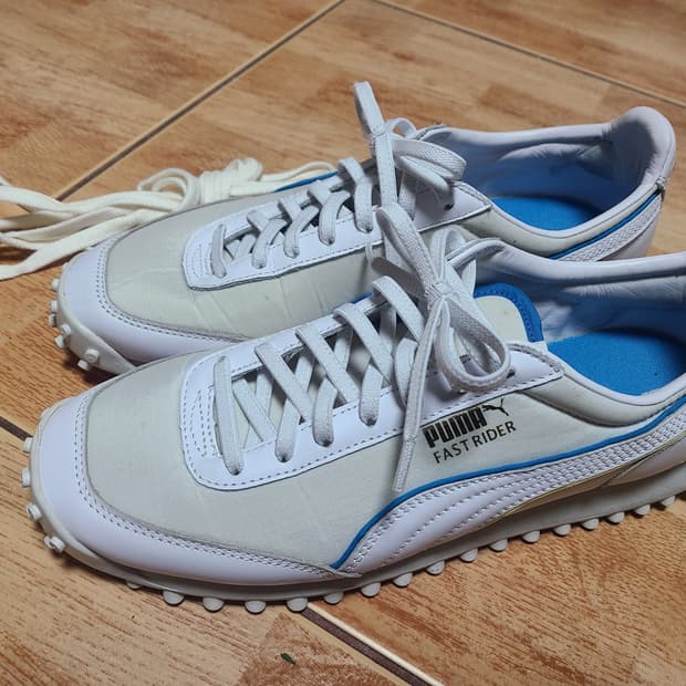 푸마 다즐러 패스트라이더 260(255추천)