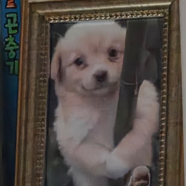 Gamja...님의 전옹결제창