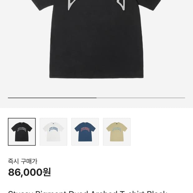 스투시 피그먼트 반팔 블랙