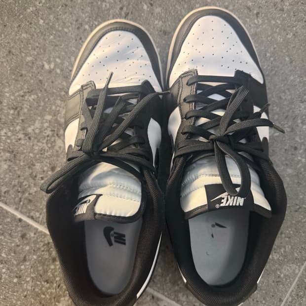 나이키 덩크로우 범고래 285