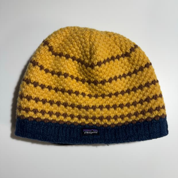 파타고니아 비니