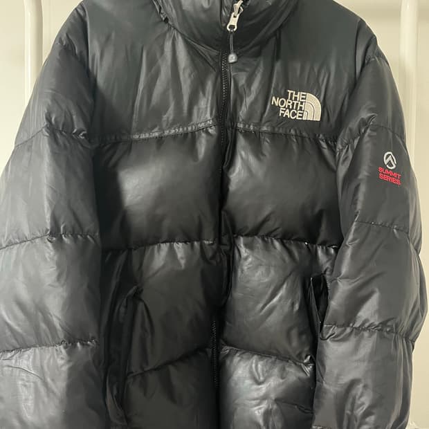 (L, 100)노스페이스 서밋 패딩 850LTD