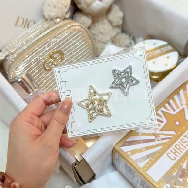 디올 스타 헤어클립 2피스 세트 