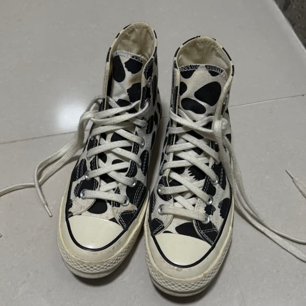 converse 컨버스 애니멀 프린트 척 70 올스타 하이 230