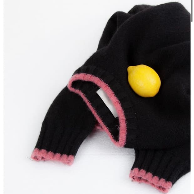 컬러 팁 모헤어 니트