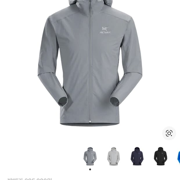 아크테릭스 감마 SL 후디 페가수스 (S)