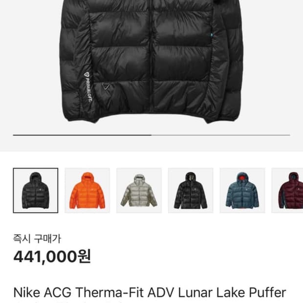 나이키 acg 루나레이크 패딩 L