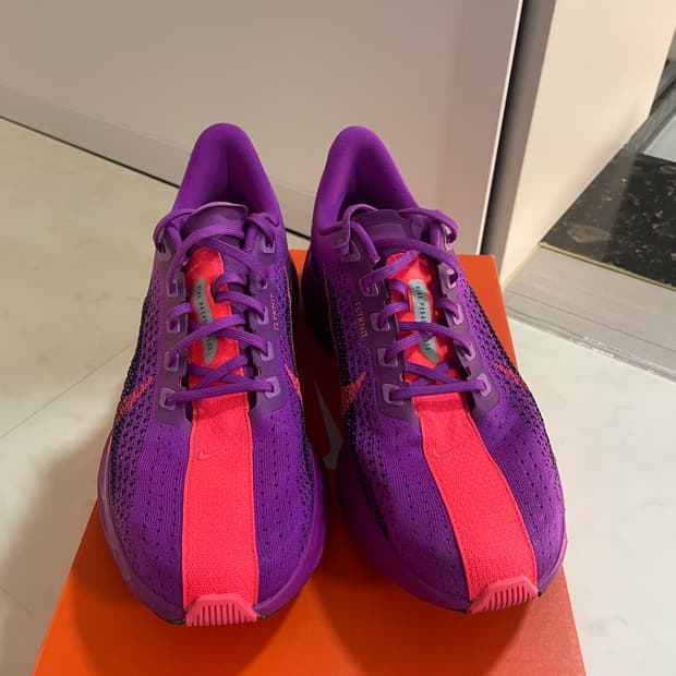 나이키  페가수스 플러스 270