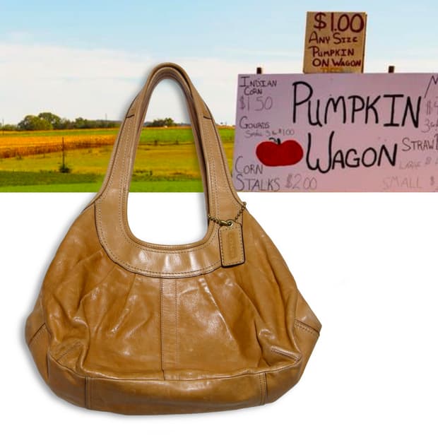 Coach Ergo Shoulder bag