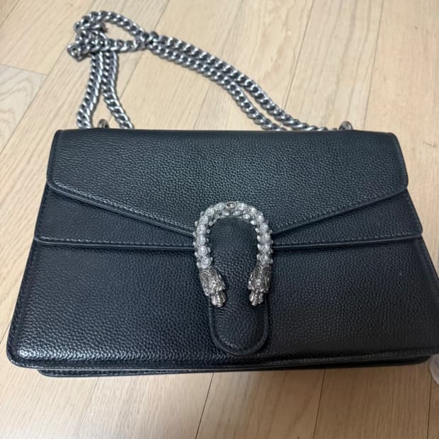 구찌 디오니소스 백