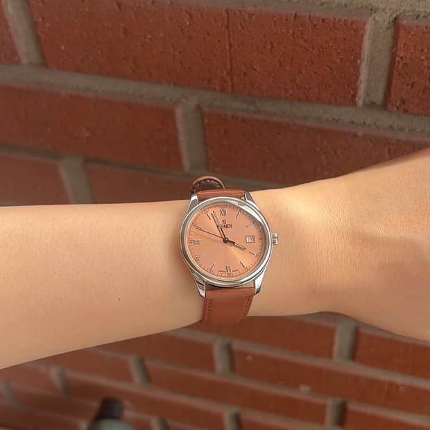 Fendi Orologi 210G (025-244)