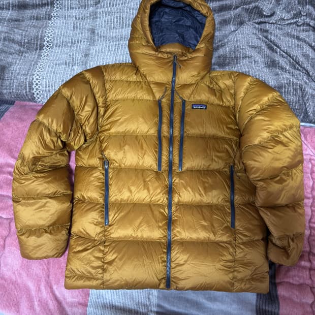 파타고니아 피츠로이 다운 L