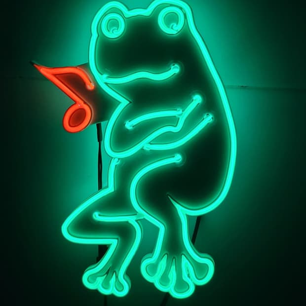 네온사인 개구리 뮤직 led 램프 조명 무드등