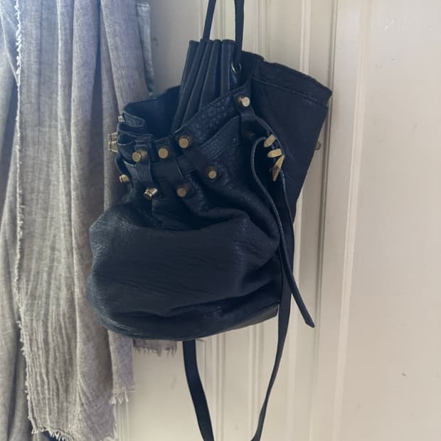 Alexander wang bag