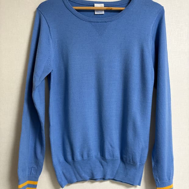 챔피온 울 니트