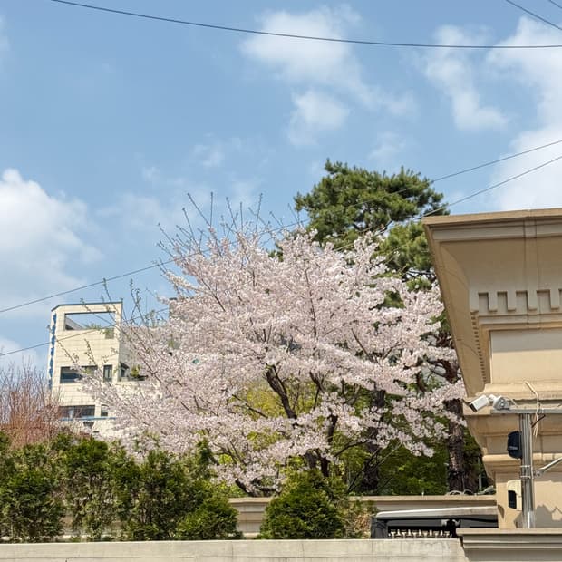 샤넬 우동님 결제창